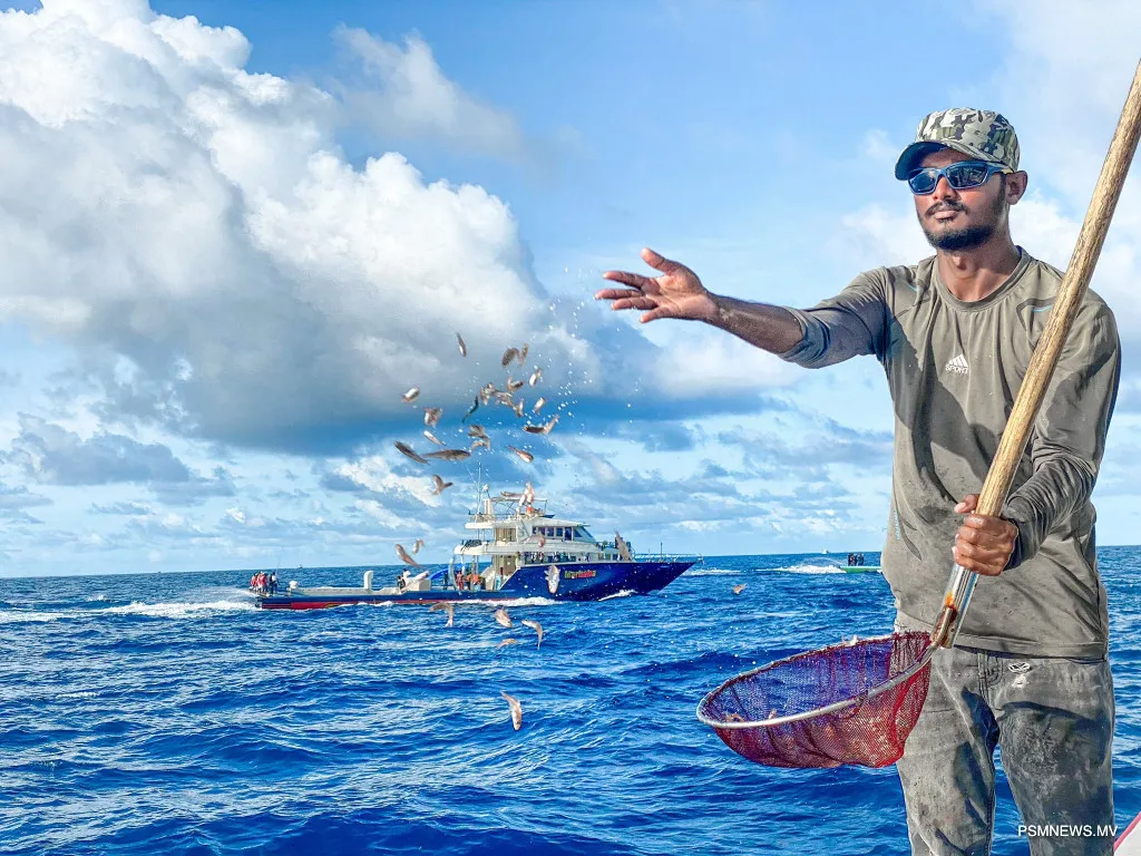 ކެޔޮޅުންގެ އެވޯޑަށް ކުރިމަތިލުމަށް ހުޅުވާލައިފި، ޒުވާން ކެޔޮޅަށް ވެސް ހާއްސަ އެވޯޑެއް