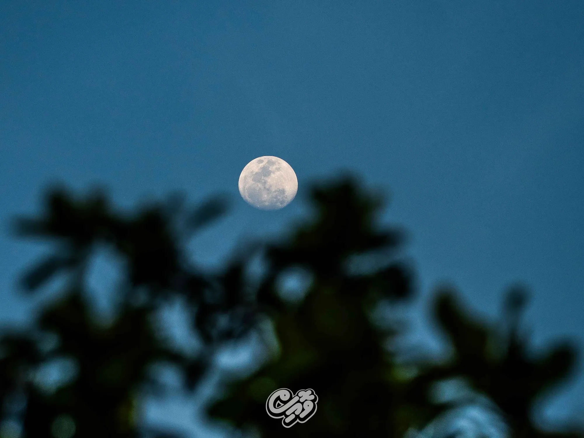 ހަނދެއް