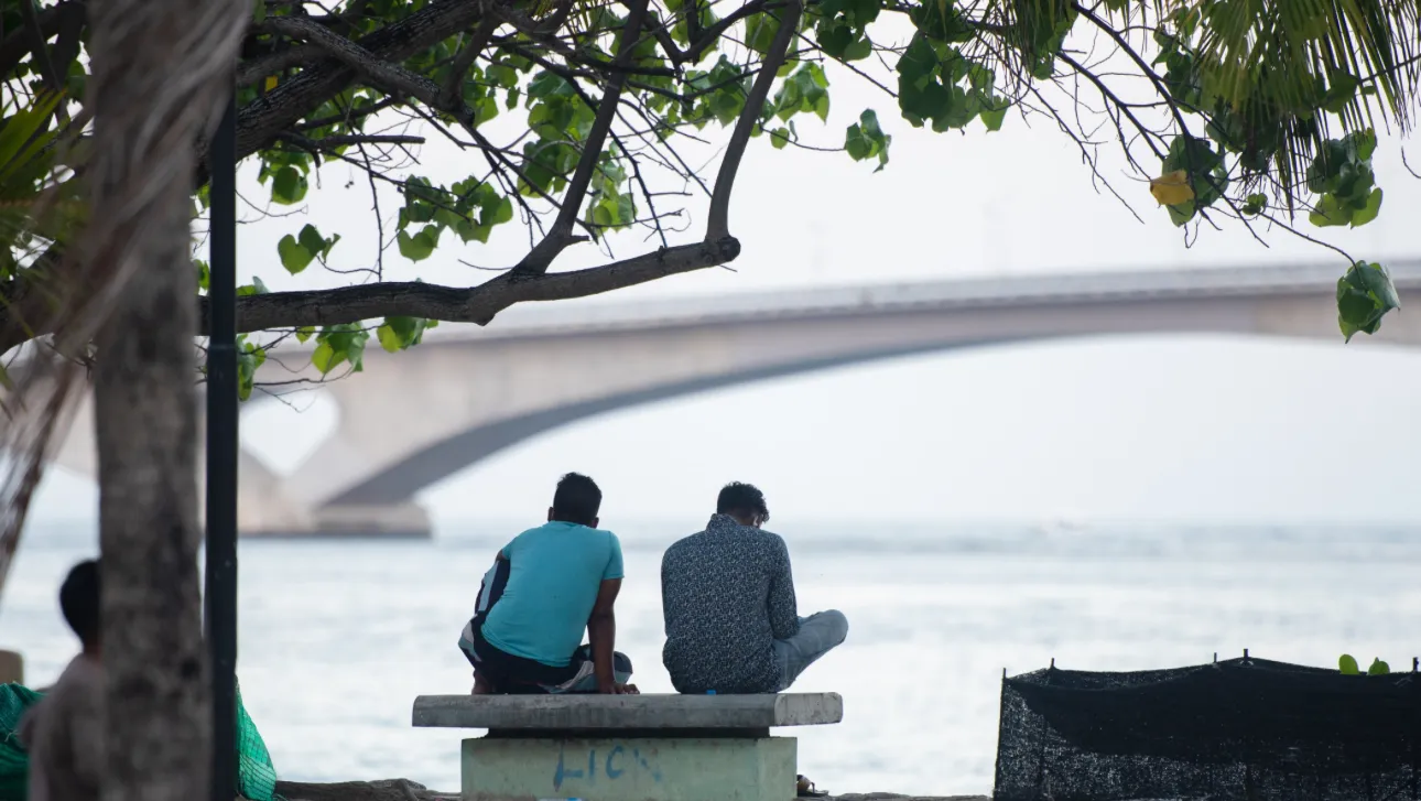 ގަވައިދާ ހިލާފަށް ވިޔަފާރިކުރާ ބިދޭސީން 48 ގަޑިއިރުތެރޭ ޑީޕޯޓް ކޮށްލަނީ
