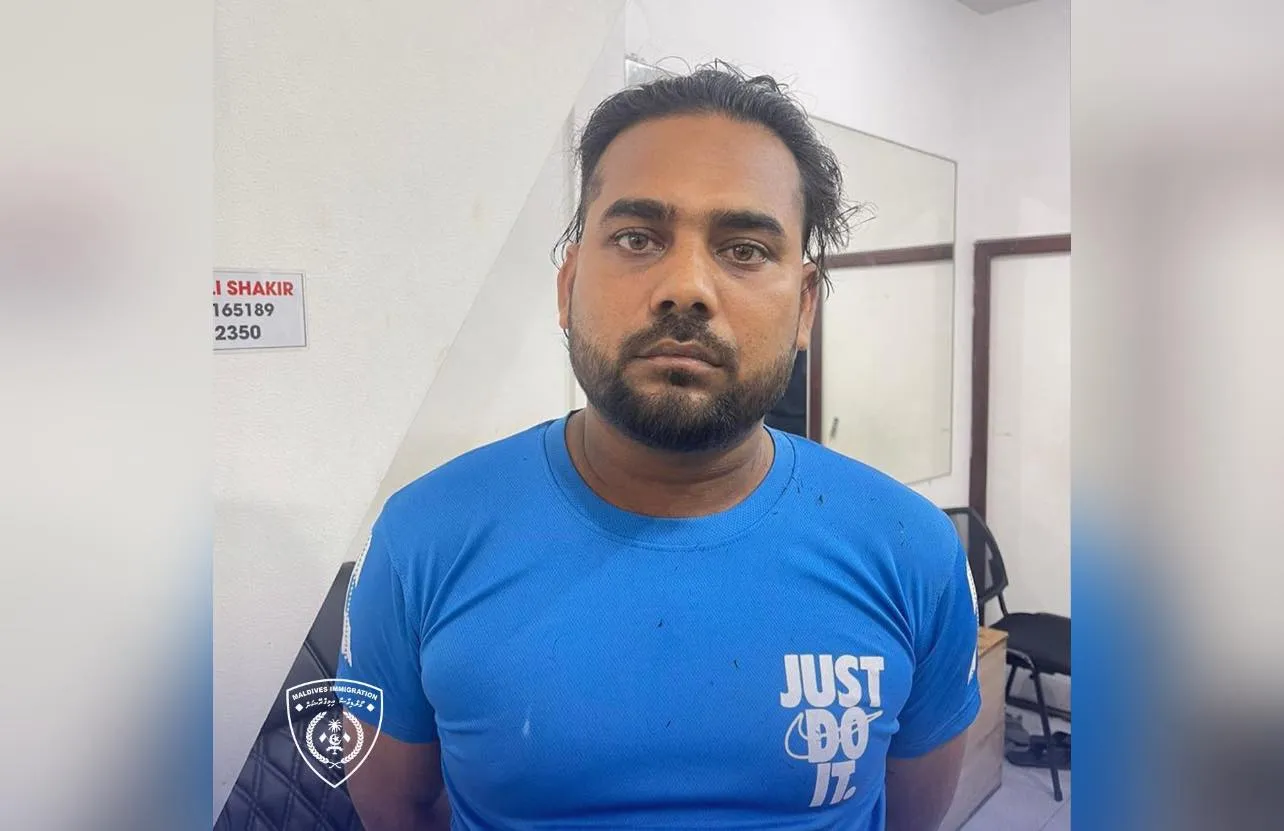 ބުޅާމަސް ބޭނުންކޮށްގެން ކާބޯތަކެތި ތައްޔާރުކުރާ ކަމުގެ ތުހުމަތުގައި ހޯދަމުންދިޔަ މީހާ ހައްޔަރުކޮށްފި