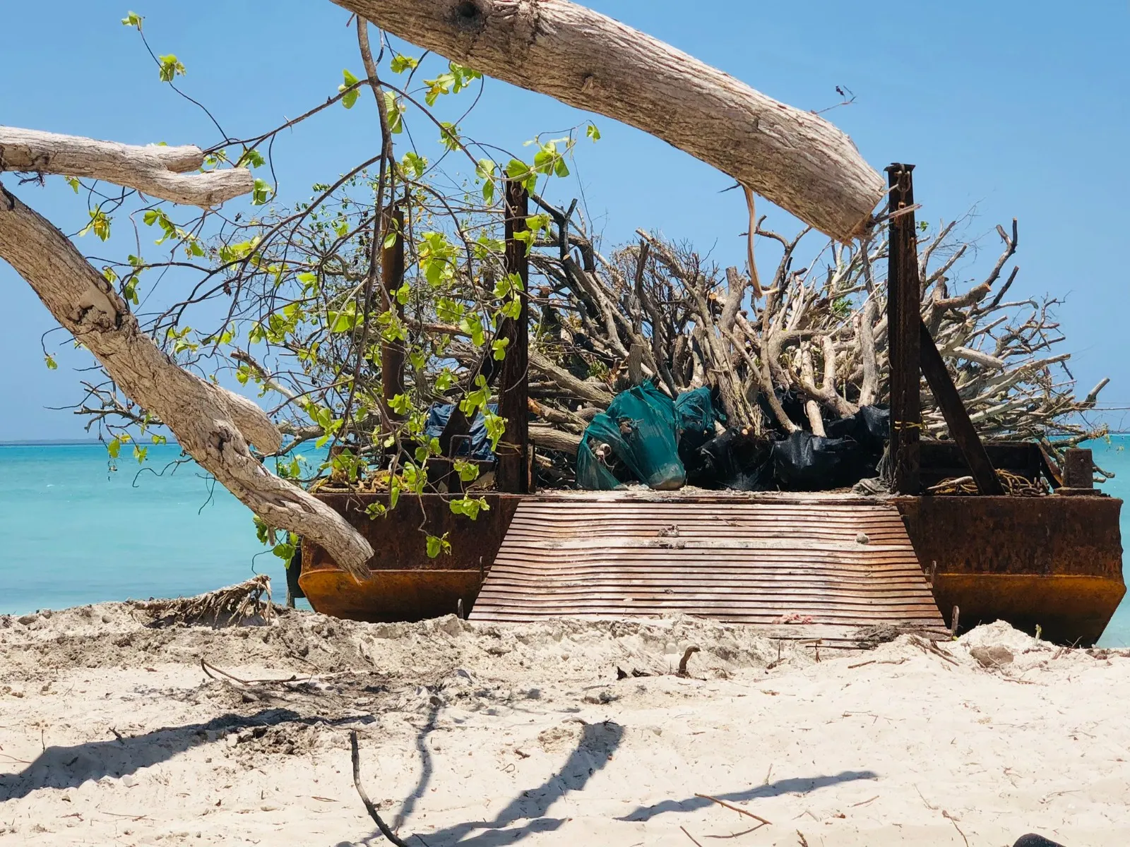 ހަނިމާދޫ އެއާޕޯޓު ހަދާ ސަރަހައްދުން ގަސް ބޭރުކުރަމުންދާ މައްސަލަ އީޕީއޭގެ ސަމާލުކަމަށް ގެނެސްފި!