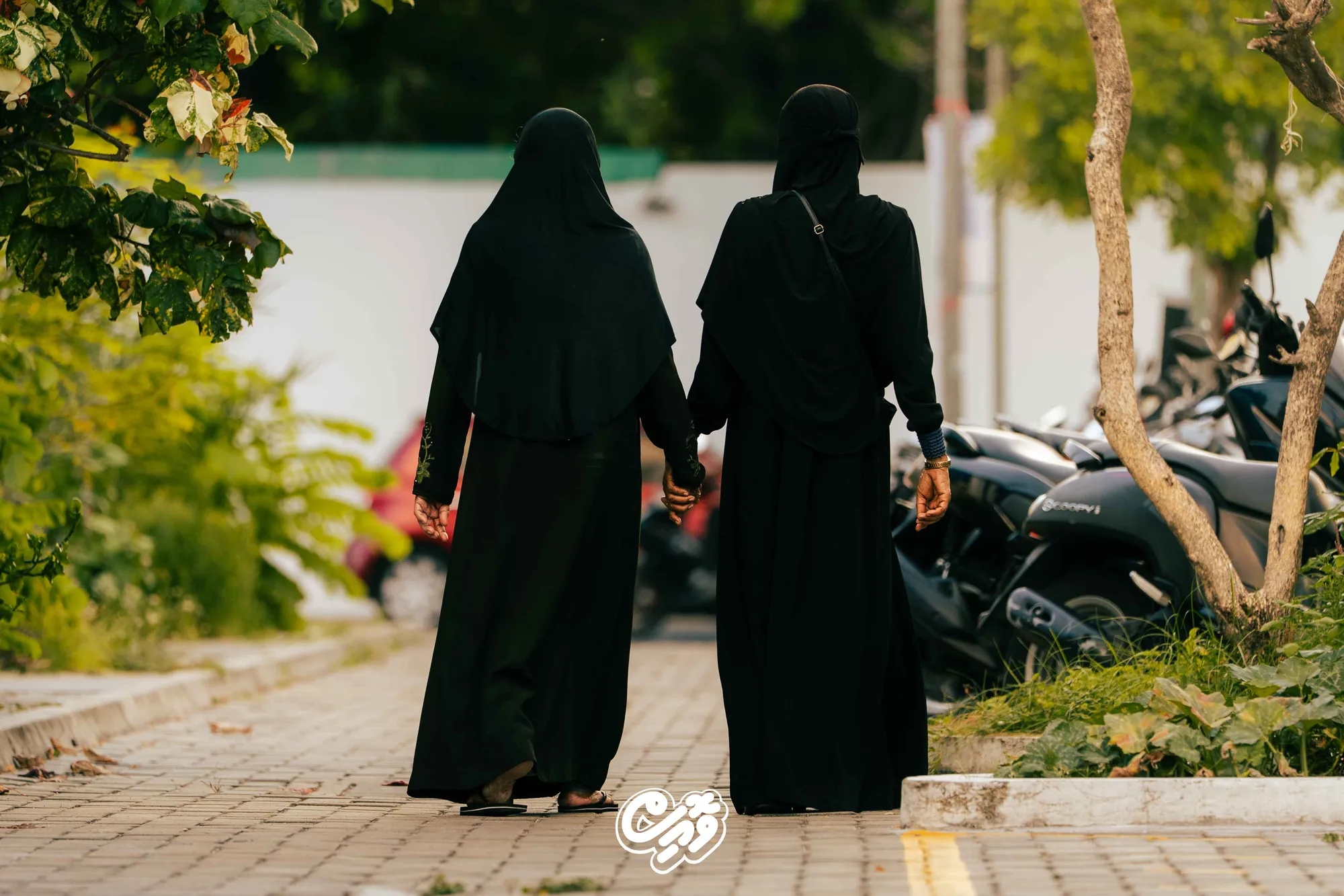 ދިވެހިރާއްޖެ އާއި ޑިމެންޝިއާ: މިއީ ހޭލުންތެރިކަމާއި އެހީތެރިކަން އިތުރުކުރަން ޖެހިފައިވާ ވަގުތެއް