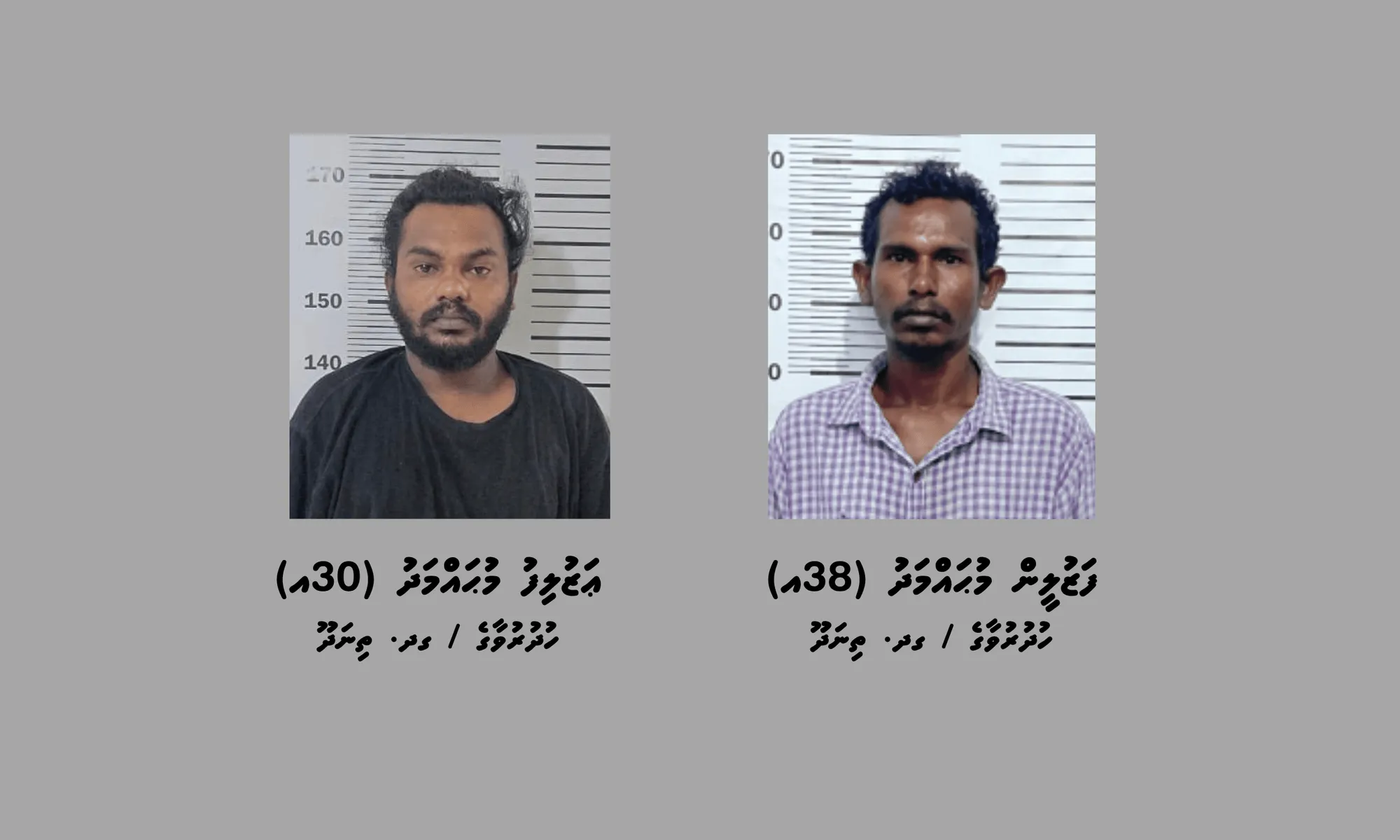 ގދ. ތިނަދޫގައި މަސްތުވާތަކެތީގެ ނެޓްވޯކެއްގައި އިސްކޮށް އުޅޭ ކަމަށް ތުހުމަތުވާ ދެ މީހަކު ހައްޔަރުކޮށްފި