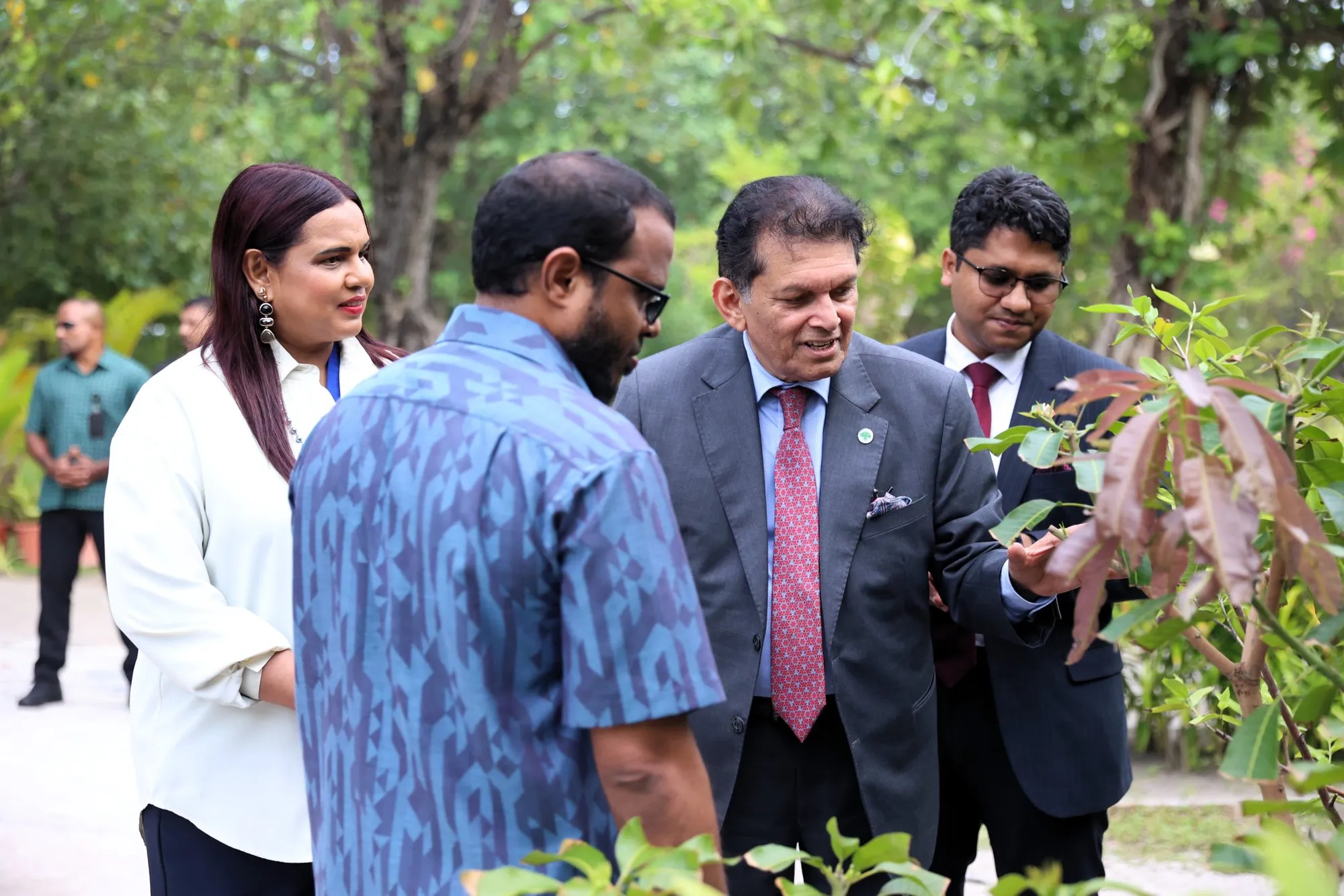 ބަންގްލަދޭޝުން ރާއްޖެއަށް 20,000 ގަސް ހަދިޔާކޮށްފި