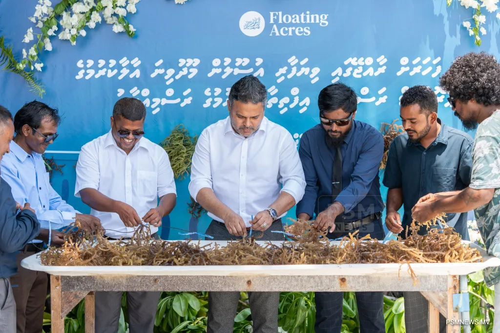 Seaweed cultivation project (Photo/Ministry of Fisheries)