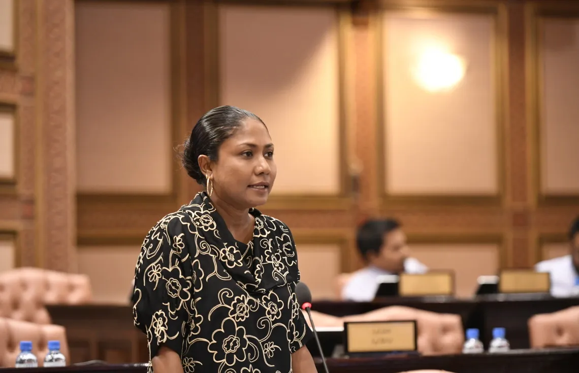ނިޒާމީ ވޯޓު ގަރާރުގެ މަސައްކަތް މަޖިލީހުން ކޮށްފައި އޮތް ގޮތާއި މެދު ލަދުގަންނަން ޖެހޭ: ހިސާން