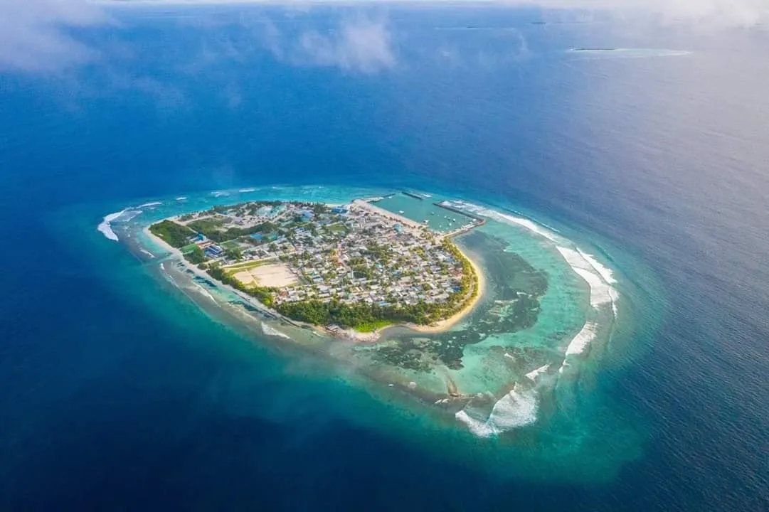 ނަގިއްޔެއް ވަގަށް ނެގި މީހަކު ޖަލަށް ލާން ހުކުމް ކޮށްފި