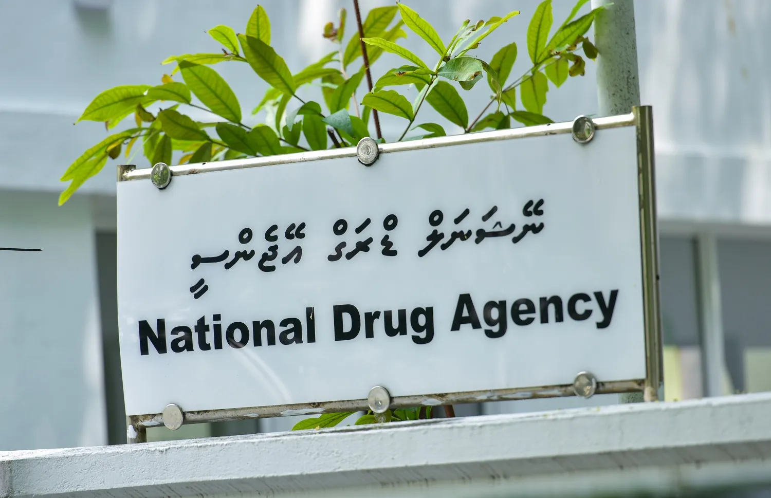 އެންޑީއޭ-- ފޮޓޯ: އެންޑީއޭ