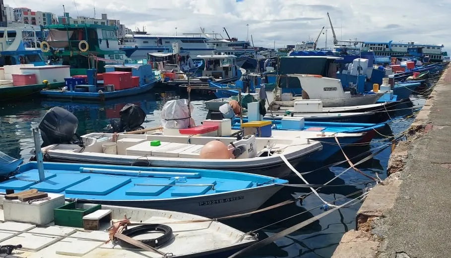 މަސްމާރުކޭޓް ކުރިމަތީ ބަނދަރު... ފޮޓޯ: ވޮއިސް