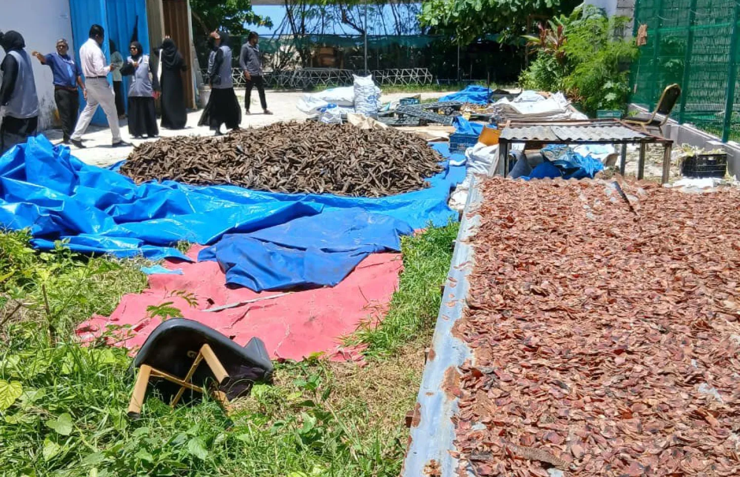 މަސްހިއްކަން ބަހައްޓާ ސަރަހައްދު -- ފޮޓޯ: ކައުންސިލް