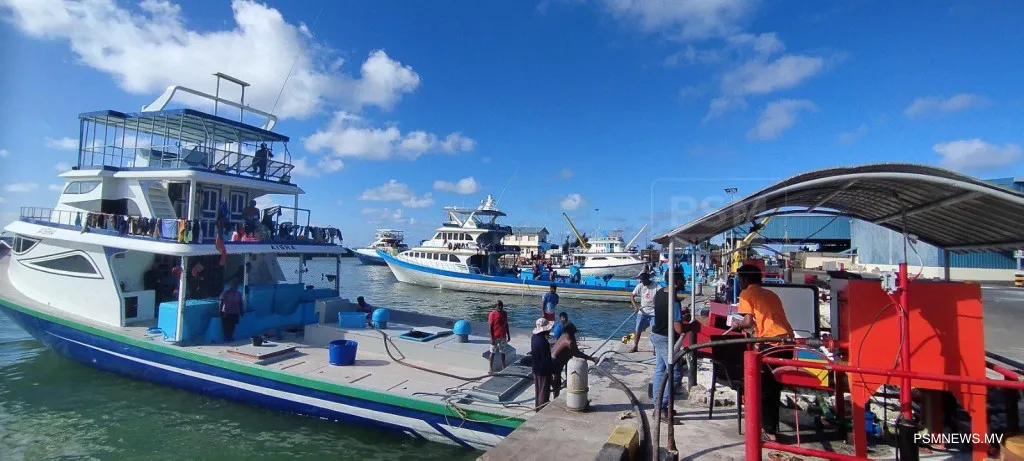 އެފްއެސްއެމްގެ މުއައްޒަފުންތަކެއް، ފަސް ދޯންޏަކަށް ތެއޮ އެޅުމުގެ ހިދުމަތްދެނީ.. ފޮޓޯ: ދައުލަތުގެ މީޑިއާ