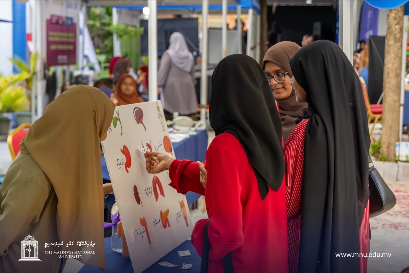 އެމްއެންޔޫ ފަހިދުވަސް