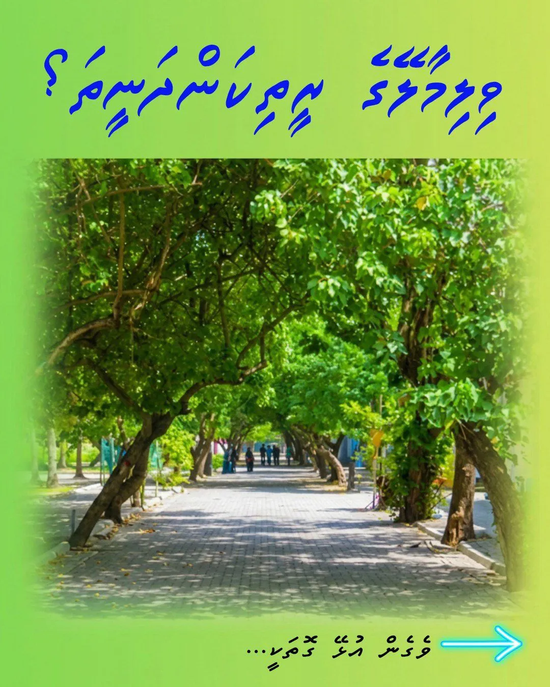 ވިލިމާލޭގެ ރީތިކަން ދަނީތަ؟