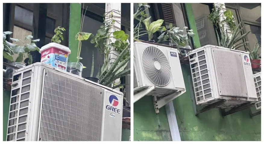 އޭސީ އައުޓްޑޯ މަތީގައި ބަހައްޓާފައިވާ ގަސްމުށިތައް---ފޮޓޯ: މާލެ ސިޓީ ކައުންސިލް