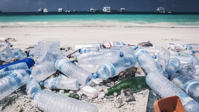 ތިމާވެށްޓަށް ގެއްލުންދޭ ސިންގަލް-ޔޫސް ޕްލާސްޓިކުގެ ބާވަތްތަކުގެ ލިސްޓު، އަލުން ކަނޑައަޅުއްވައިފި