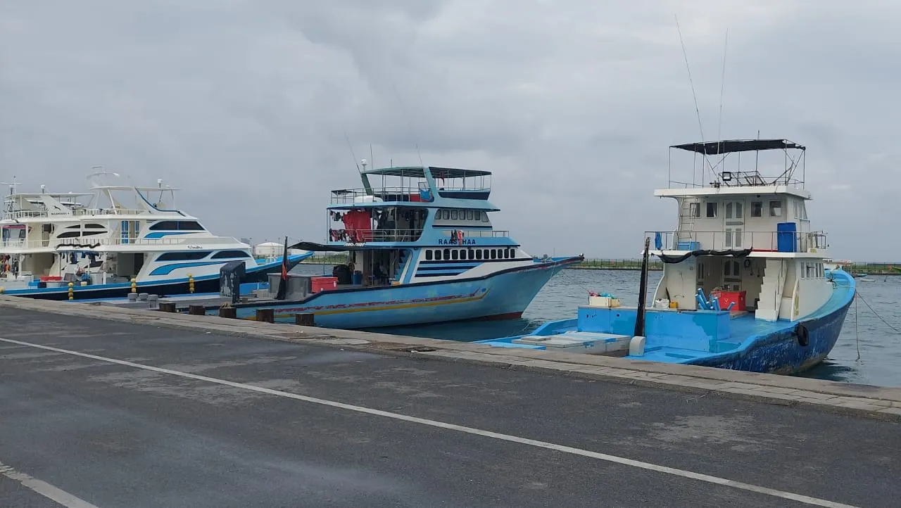 ހުޅުމާލޭ ކަންނެލި ޖެޓީގައި އަޅާފައިވާ މަސްދޯނިތަކެއް... ފޮޓޯ/ ވޮއިސް
