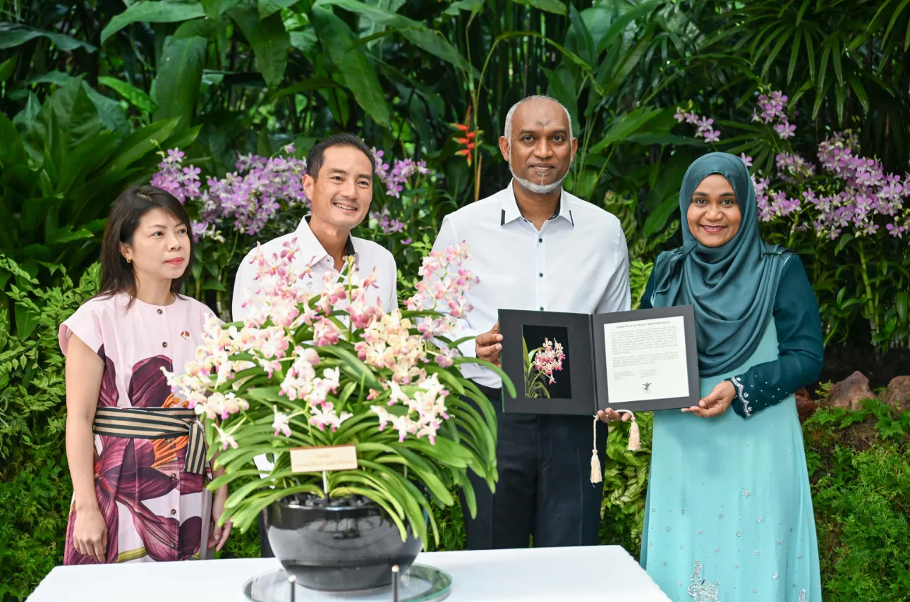 ރައީސް މުޢިއްޒުގެ ދެކަނބަލުން ސިންގަޕޫރުގެ ނޭޝަނަލް އޯކިޑް ގާޑަންއަށް ކުރެއްވި ޒިޔާރަތުގެ ތެރެއިން: ފޮޓޯ/ ރައީސް އޮފީސް