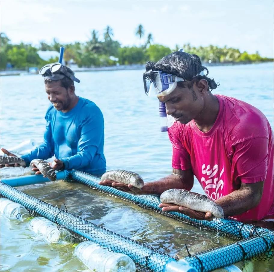 ވައިފުޅި އަޅައިގެން ހުއިފިލަނޑާ ނެގުމުގެ ހުއްދަދީފި