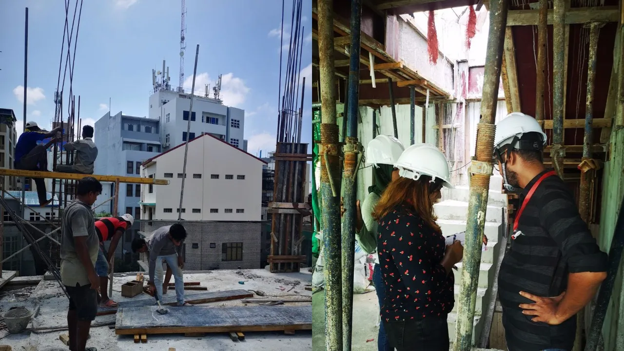 Expatriate workers working together
