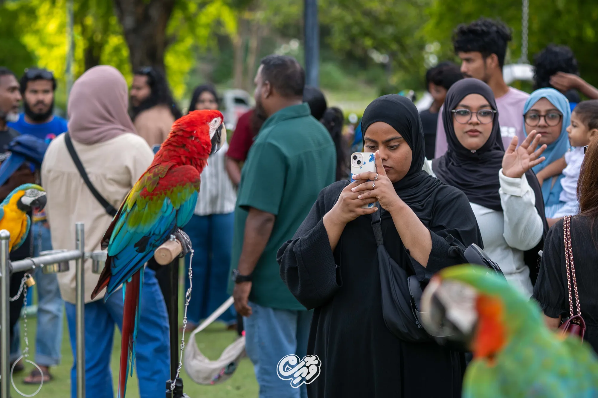 ދުނިޔޭގެ ޖަނަވާރުންގެ ދުވަސް ފާހަގަކުރުމަށް ހުޅުމާލޭގައި ބޭއްވި ހަރަކާތް