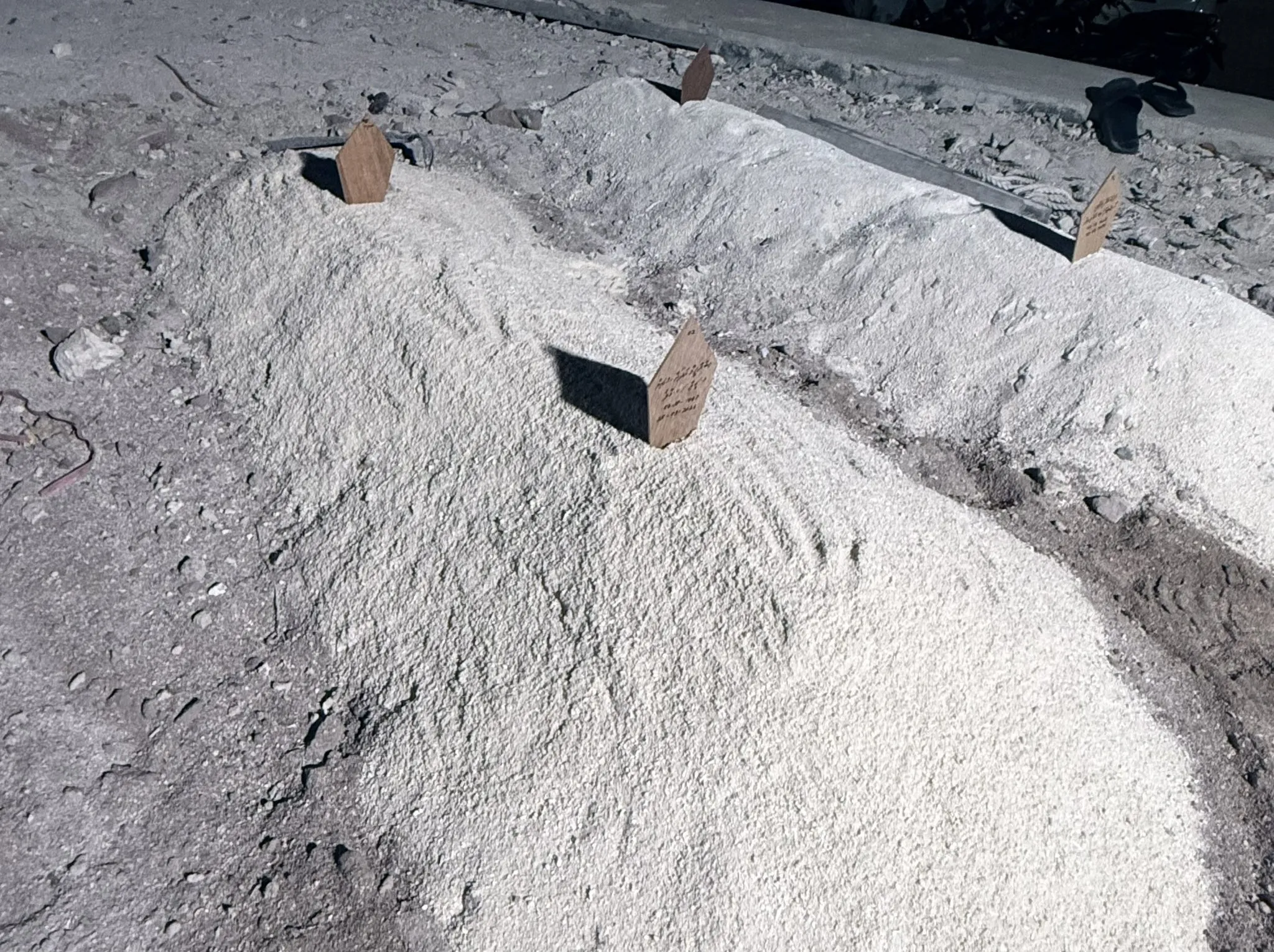 ޒިންމާ ނަގާނެ ބަޔަކު ނެތް، ބަޔާނެއް ނެރެލާނެ މުއައްސަސާއެއްވެސް ނެތް