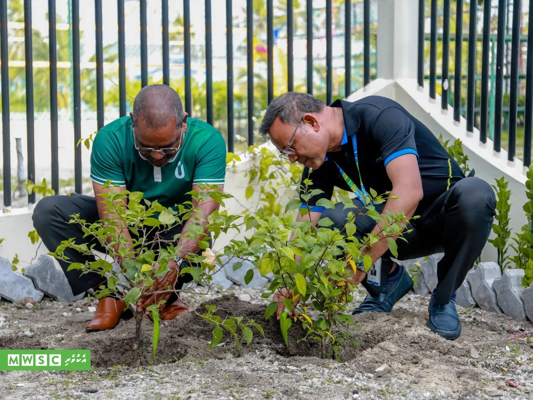 ތިމާވެށީގެ ދުވަހާއި ގުޅިގެން "ނަލަވެށި" ކެމްޕެެއިންގެ ދަށުން އެމްޑަބްލިޔުއެސްސީގެ ހަރަކާތްތަކެއް