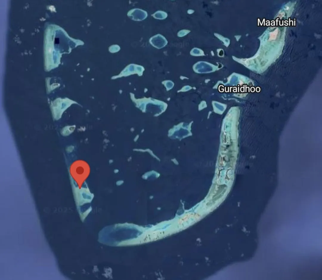 ޑިންގީ ބަންޑުން ޖަހާލި ސަރަހަަައްދު