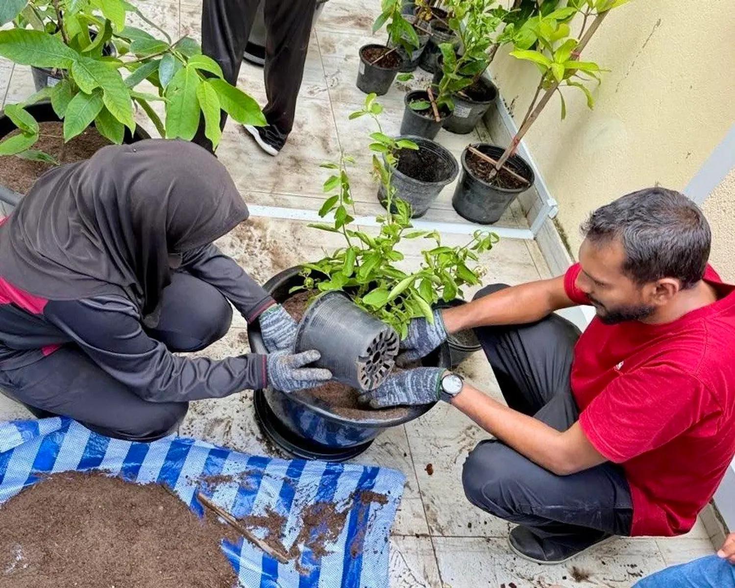 އީ.ސީ.އާރް.އެފް.އެސް ޕްރޮޖެކްޓްގެ ދަށުން މުޙްޔިއްދީން ސްކޫލުގައި ދަނޑުވެރިކަމުގެ ތަމްރީނު ޕްރޮގްރާމެއް ކުރިއަށް ގެންގޮސްފި