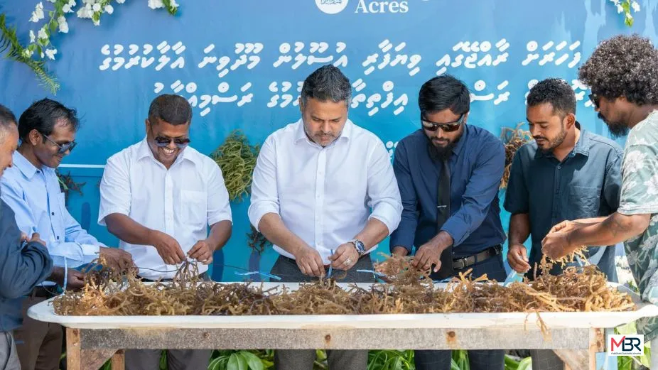 Maldives Set to Export First Seaweed Batch, Advancing Its Blue Economy Goals